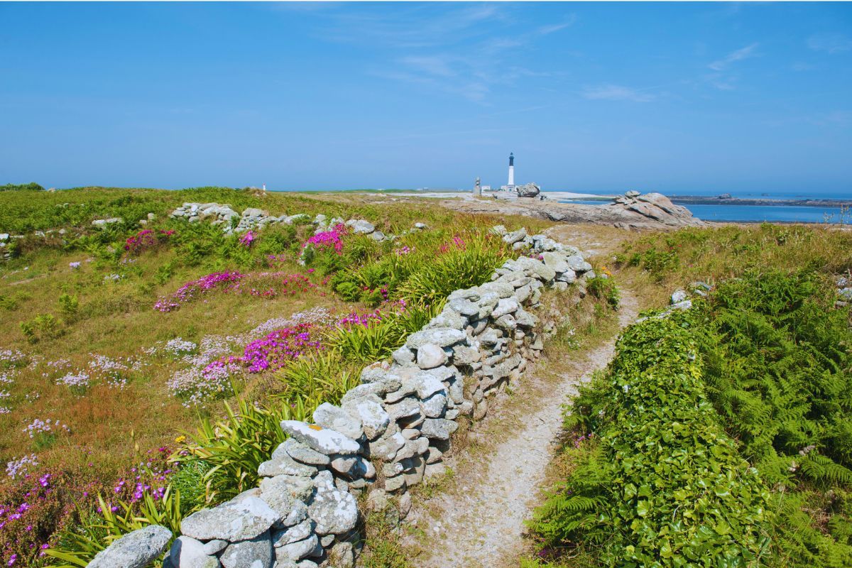 Photo de Ile de Sein